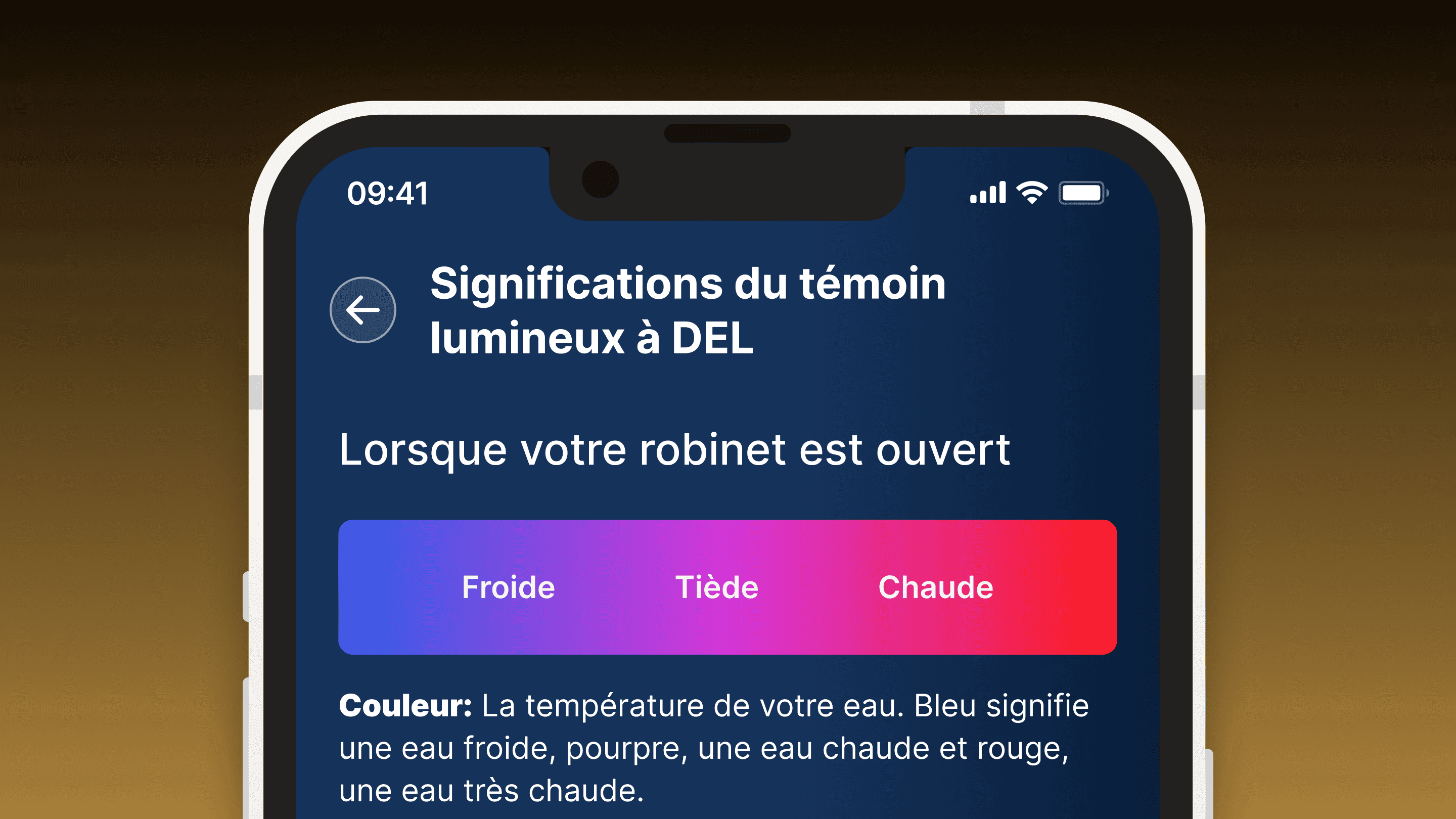Example of the app screen in French.